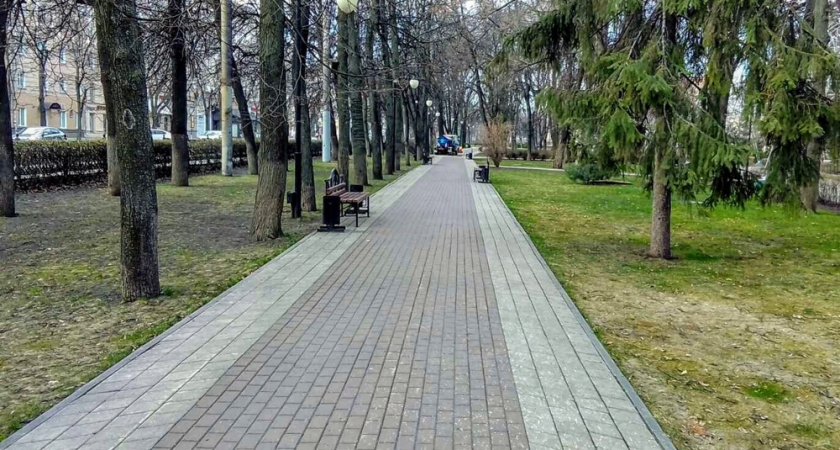 Мэр Вадим Кстенин дал старт уборке воронежских улиц 