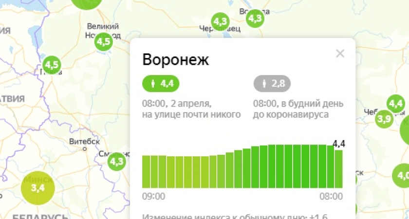 Яндекс дал Воронежу самую высокую оценку самоизоляции среди миллионников