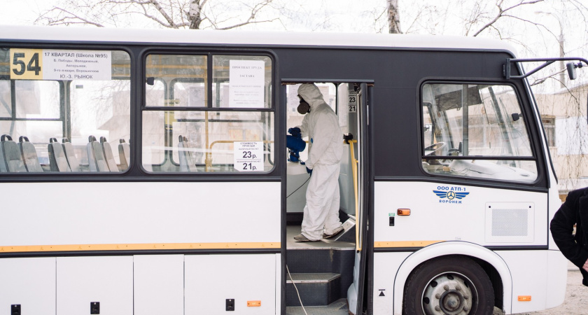 На улицах Воронежа станет еще больше автобусов