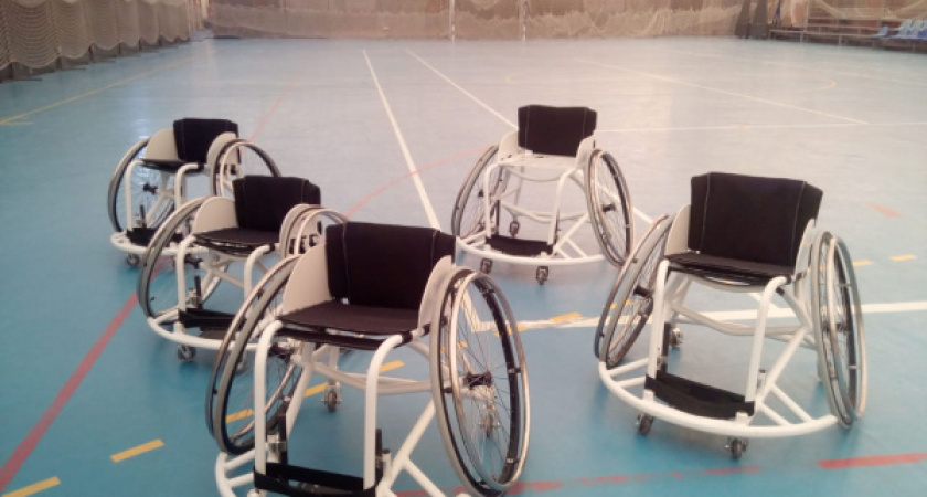 В Воронеже глава ВЛХЛ пойдет под суд за мошенничество с грантом