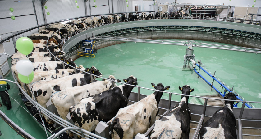 В воронежском агрохолдинге ответили на претензии прокуратуры