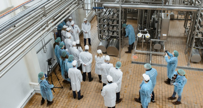 Все в переработку. Как в Воронежской области развиваются предприятия АПК