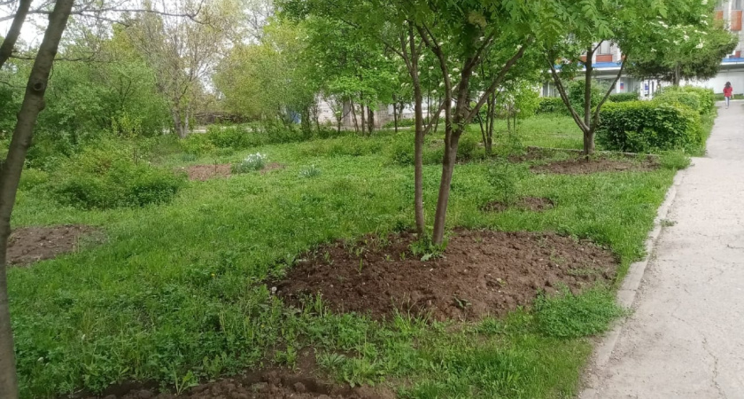 «Сквер раздора» под Воронежем поссорил жителей и чиновников 