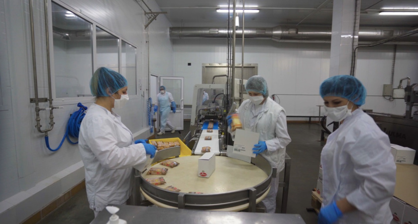 Воронежский «Молвест» запустил новую линию по нарезке сыров ультразвуком