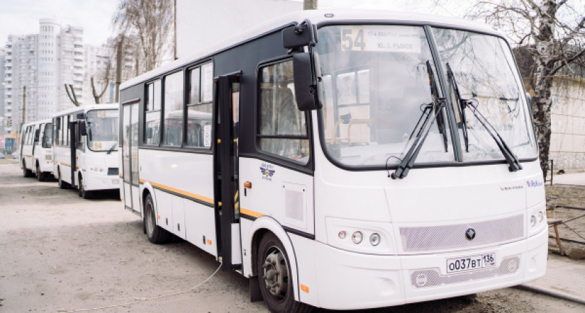 В Воронеже «АТП-1» обновило автопарк на фоне падения пассажиропотока