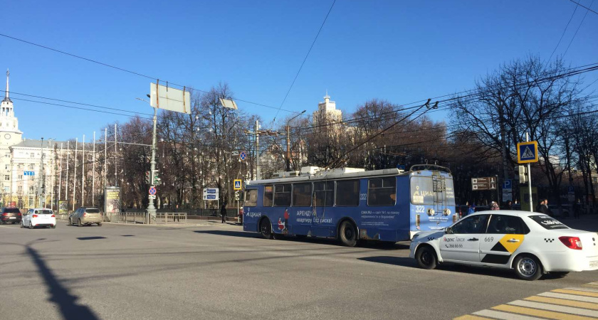 Воронежцев позвали проголосовать за проект улучшения городского транспорта
