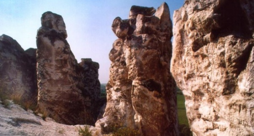 Власти передумали отдавать Воронежской митрополии храм «Дивногорья» 