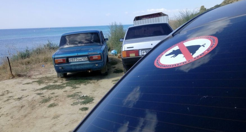 Борьба против свинокомплексов под Воронежем превращается в грубый фарс?