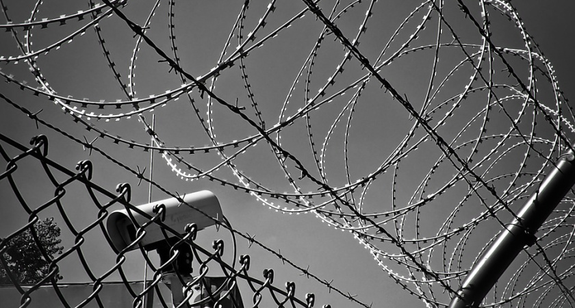 Воронежец провел 12 суток под арестом за карикатуры со свастикой