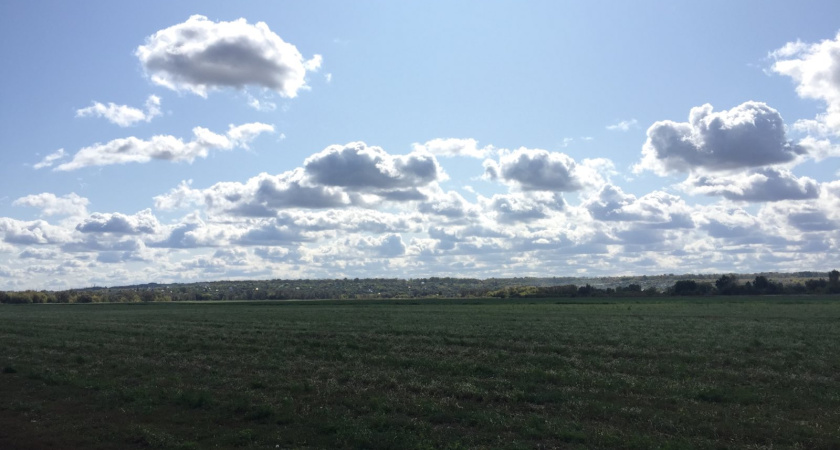 Рисковать жизнью ради родины готовы 64% воронежцев