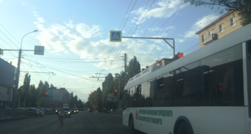 Воронежскому перевозчику удалось убедить мэрию изменить городской маршрут