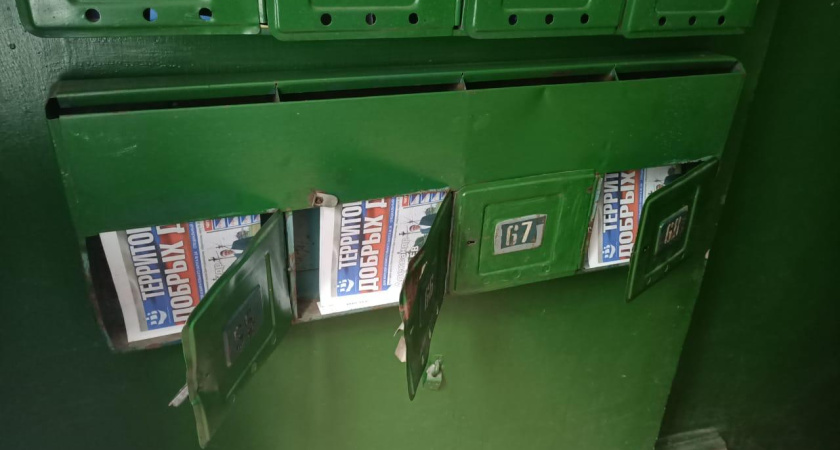 Воронежские единороссы дали фальстарт пиару «добрых дел»