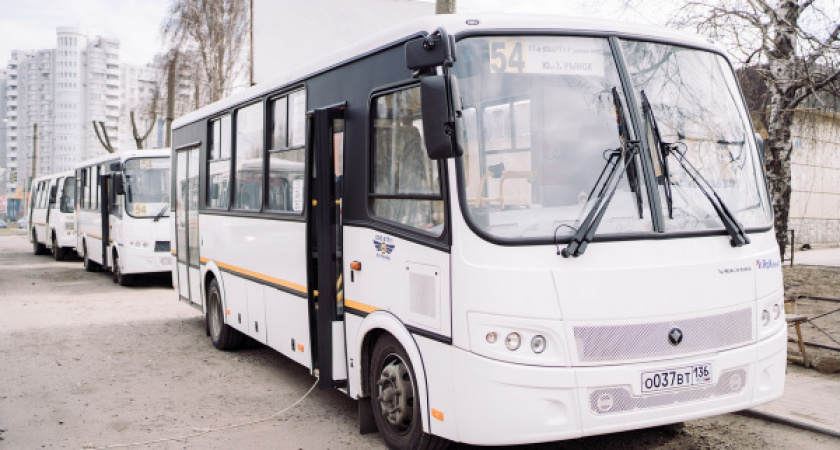 Воронежский перевозчик возобновит модернизацию с августа этого года