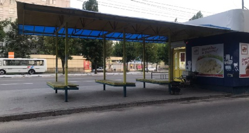 Когда в Воронеже  появятся ночные маршрутки? 