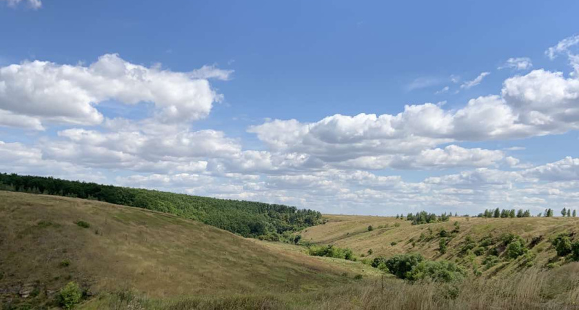 Под Воронежем пройдут съемки фильма киностудии Алексея Учителя