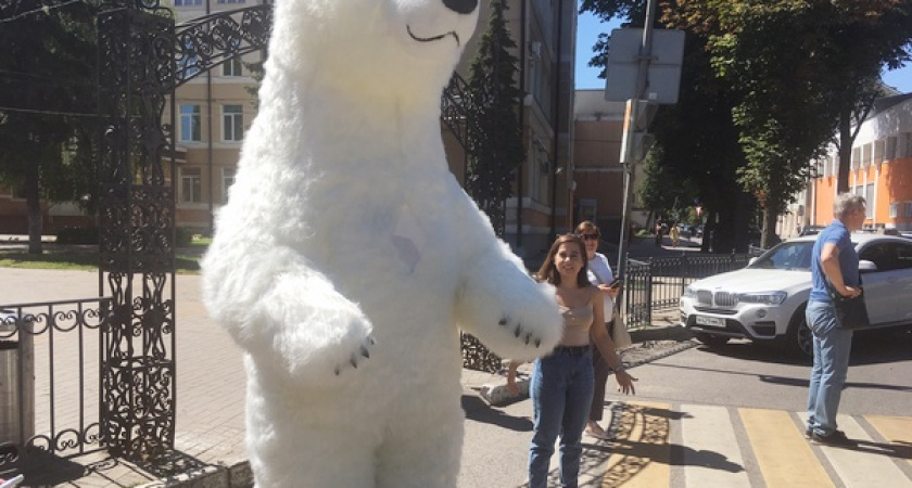 В Воронеже власти отказывают в публичной агитации перед выборами-2020