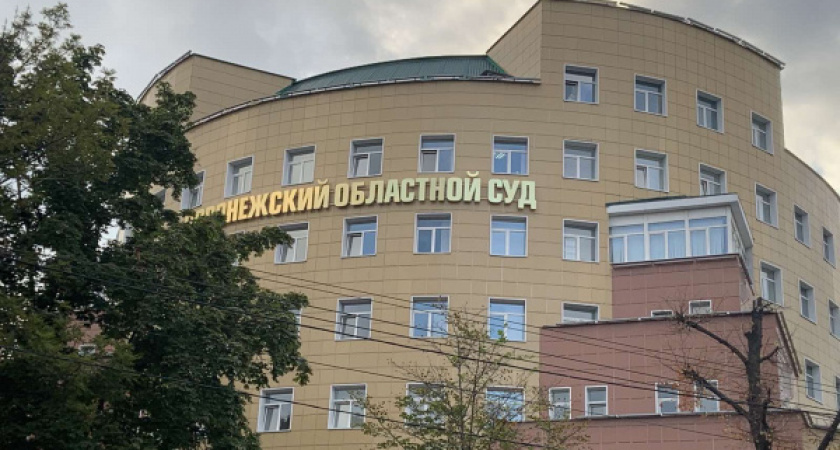 «Новые люди» в суде вновь пролетели мимо выборов в воронежскую облдуму