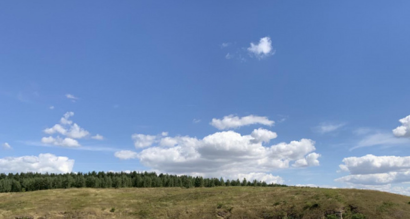 Экопарк «Калачеевские поляны» под Воронежем обустроят за 26,3 млн рублей