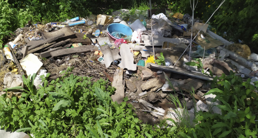 Воронежское облправительство подключилось к проблеме панинской свалки