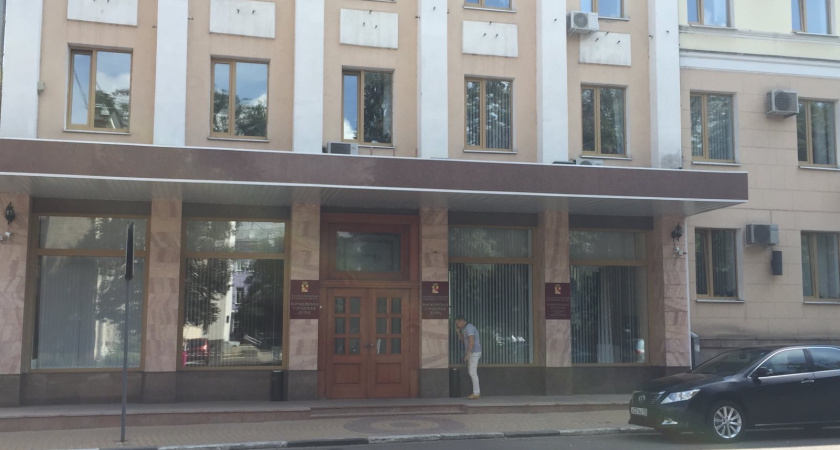 В воронежскую гордуму прошли 10 оппозиционеров