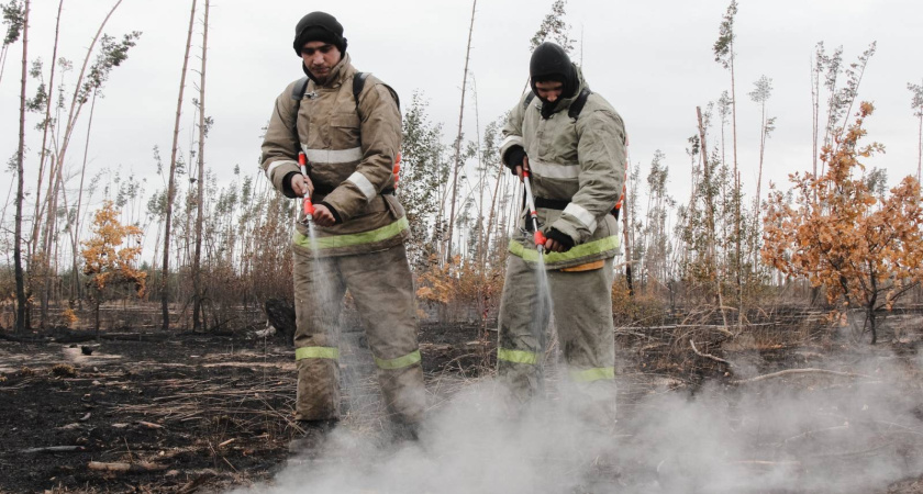 Воронежские спасатели за сутки локализовали пожары на 200 га 