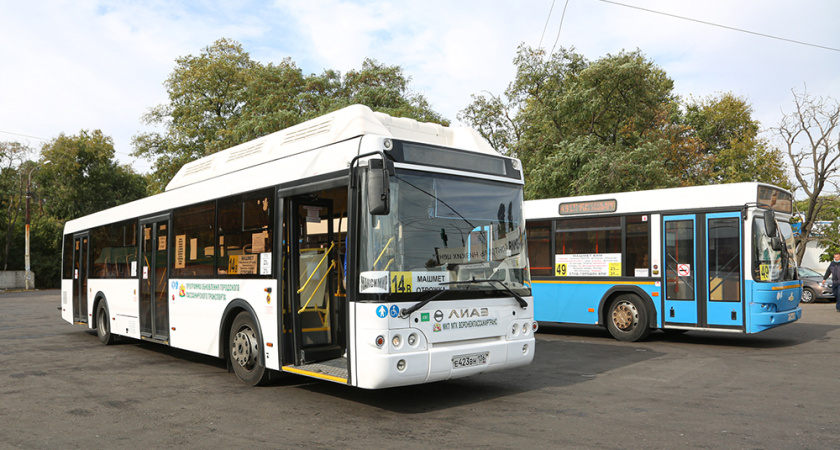 Мэр Воронежа заявил о покупке еще 58 автобусов на городские маршруты