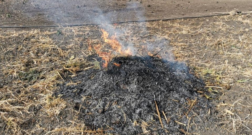 В 2020 году воронежцам выписали 3,8 млн рублей штрафов за костры