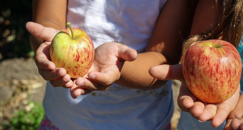 В Воронеже увеличат дотации на питание учащихся вне школ