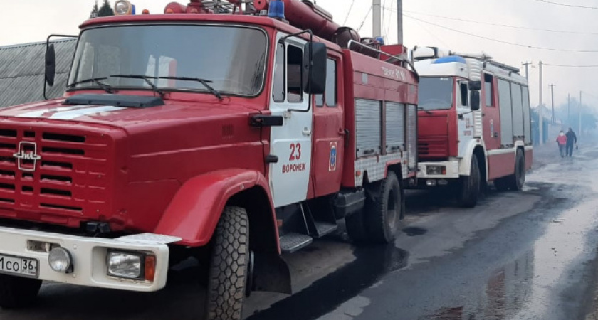 В Воронежской области отменили особый противопожарный режим