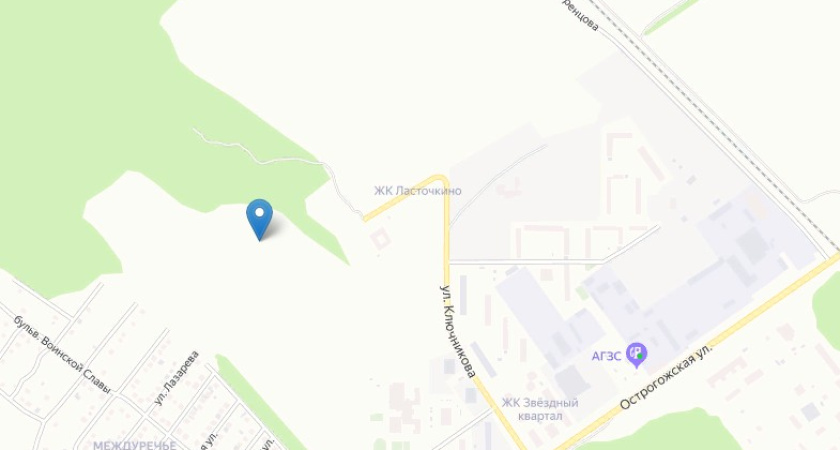 Под боком у застройки воронежского ДСК возведут манеж за счет бюджета