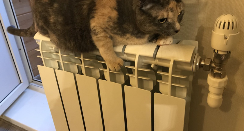 Пандемия спровоцировала рост звонков воронежцев в УК по отоплению в 4 раза