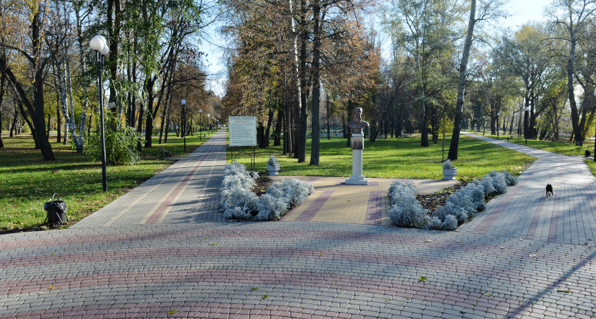 Воронежской области дадут в 2020 году более 1 млрд рублей на развитие сел