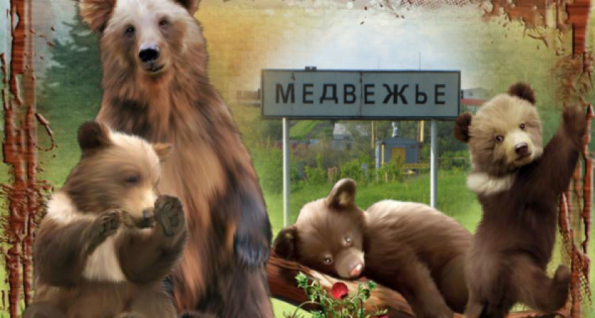 После публикации «Времени Воронежа» жителя допустили к конкурсу главы села 