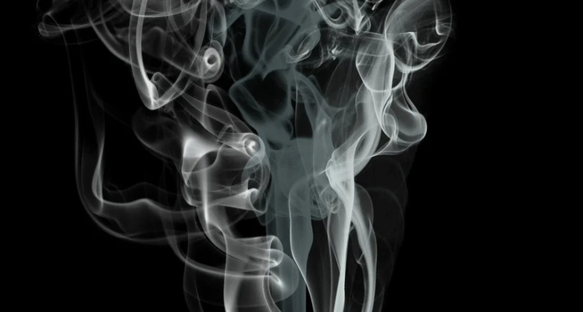 Журналисту в Воронеже распылили в лицо газовый баллончик