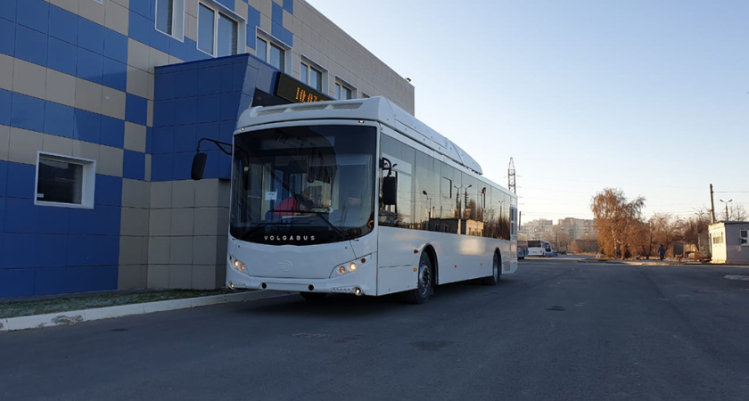 В Воронеж приехали 20 автобусов для «Автолайна» Дмитрия Крутских