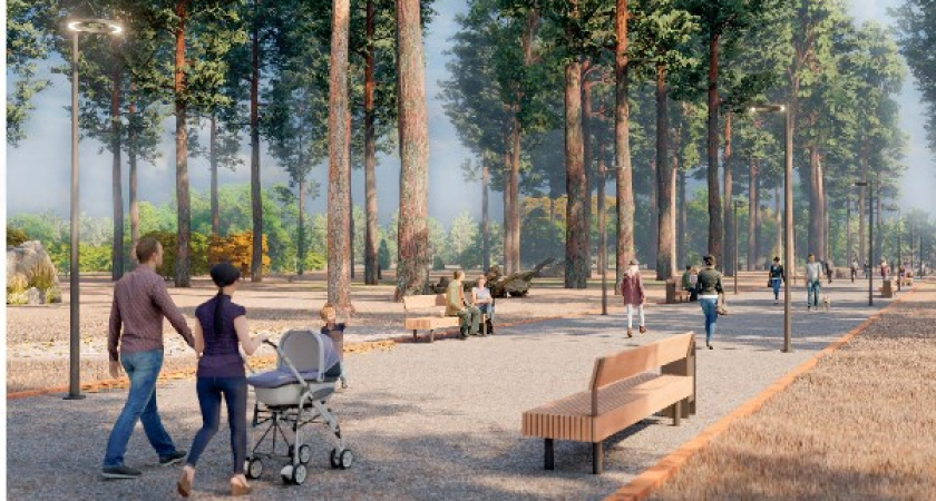 Воронежцы выступили против превращения Северного леса в парк