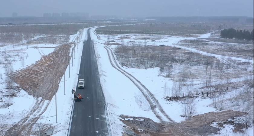 Для кого в Воронеже построили дорогу на Богатырской? 