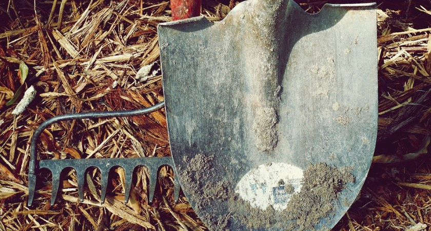 Начальник воронежской колонии вывозил заключенных на дачные хозработы