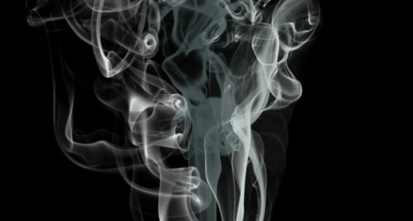 В Воронеже арестовали распылителя газового баллончика в журналиста