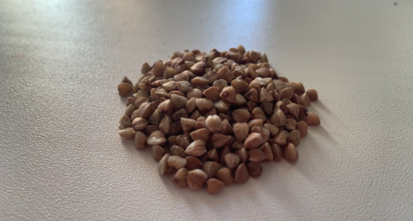 Родину в Воронеже возглавил угощавший избирателей продуктами Игорь Борисов