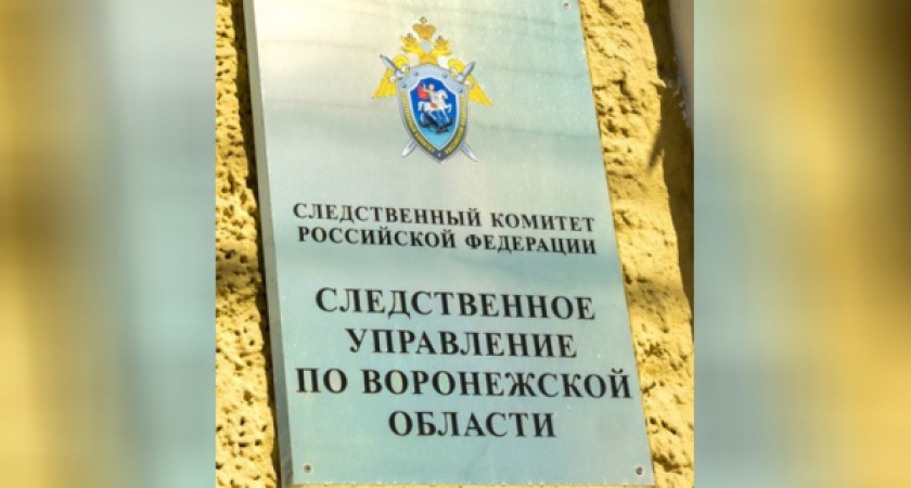 В Воронеже пытавшийся отмазать директора вуза адвокат пошел по статье 159