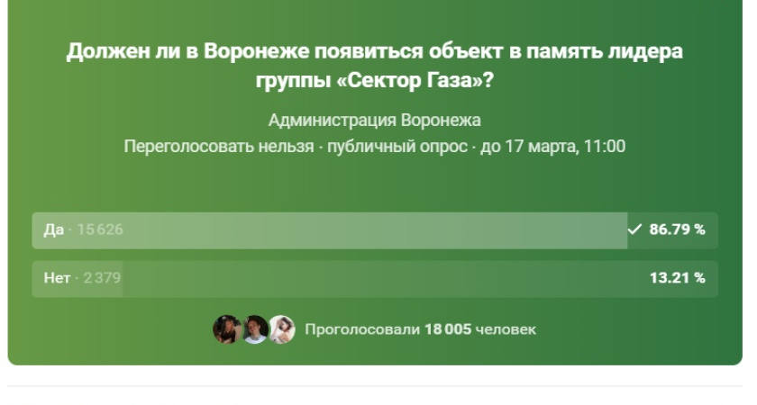 Памятник Хою в Воронеже набирает голоса жителей