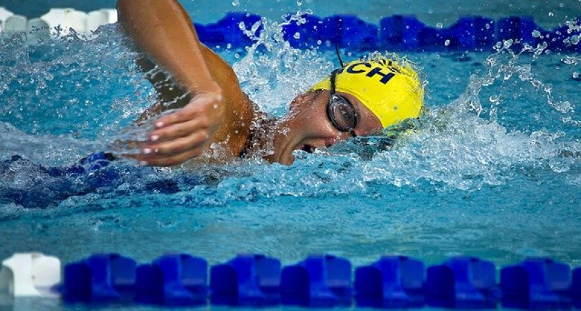 Воронежская фирма передала муниципальной компании право на постройку бассейна в Боброве