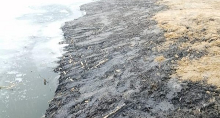 Донные отложения из воронежской реки Икорец обнаружили в прибрежной защитной полосе