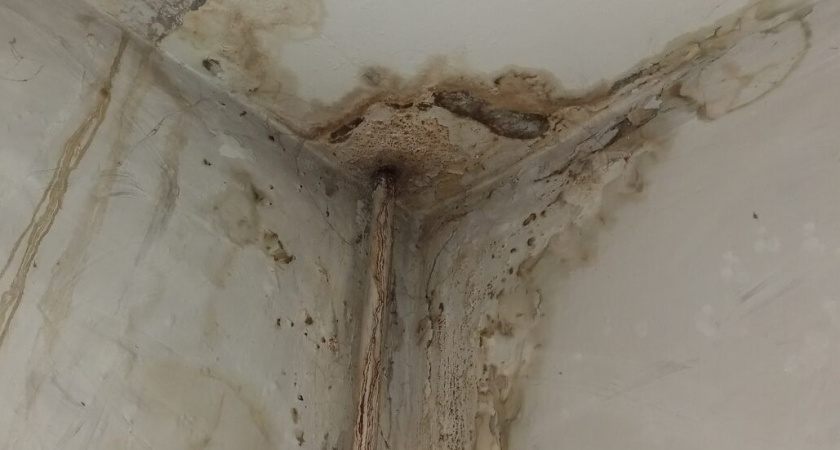 Капремонт крыши привел к постоянному потопу в доме на Московском проспекте в Воронеже 