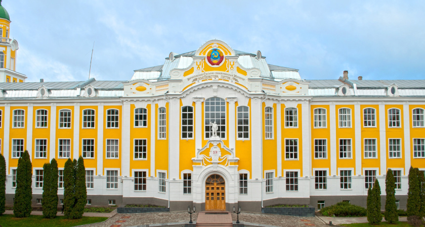 Воронежцы поддержали замену статуи Ленина на бюст Петра I