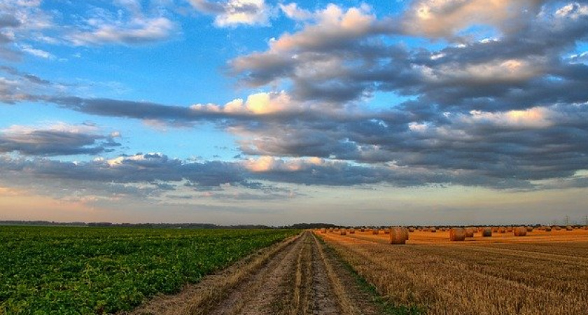 На ремонт сельских дорог в Воронежской области потратят 2,7 млрд рублей
