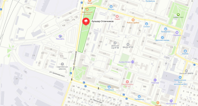 В Воронеже начнут обустраивать парки на окраинах города