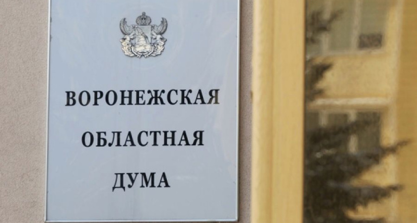 Один из самых богатых депутатов воронежской облдумы не отчитался о доходах