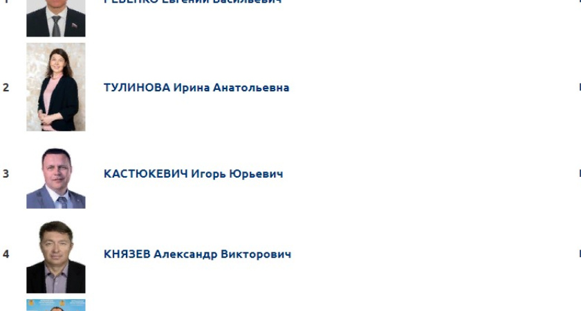 Фавориты воронежских праймериз ожидаемо победили на одномандатных округах
